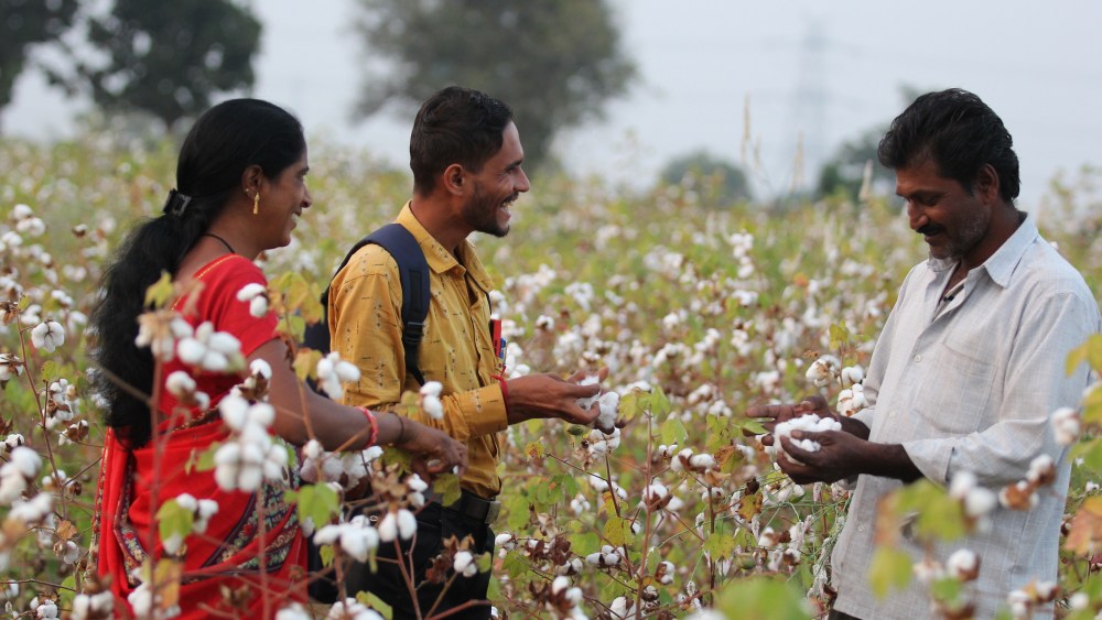 Kering, Inditex Regenerative Fund Hits 1M Hectares, Opens Tiers to Brands