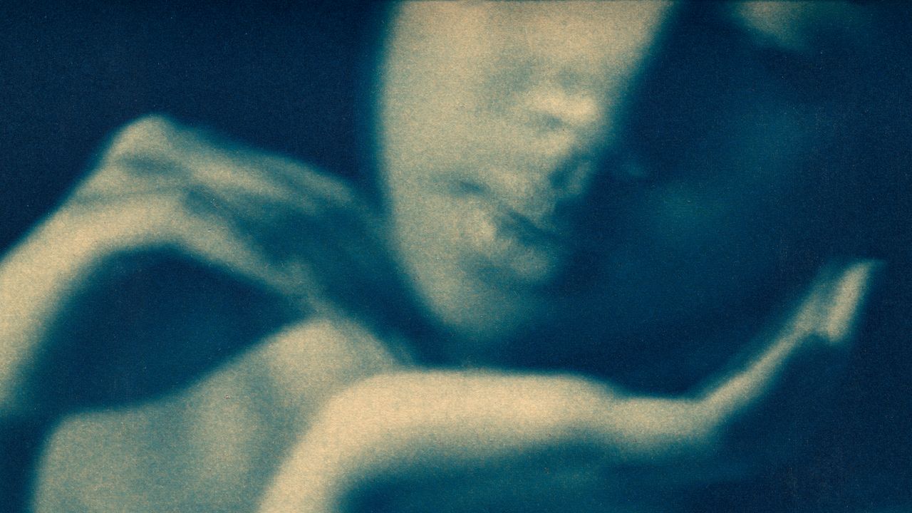 Motherhood Changed the Way I Saw Myself—and the Way That I Saw Alcohol