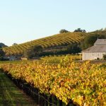 Napa Valley Guide: Where to Stay, Eat, and Sip in the Crown Jewel of California Wine Country