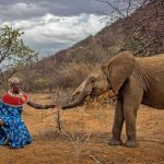 Prints for Wildlife returns with ‘Edition Hope’ to call attention on environmental protection