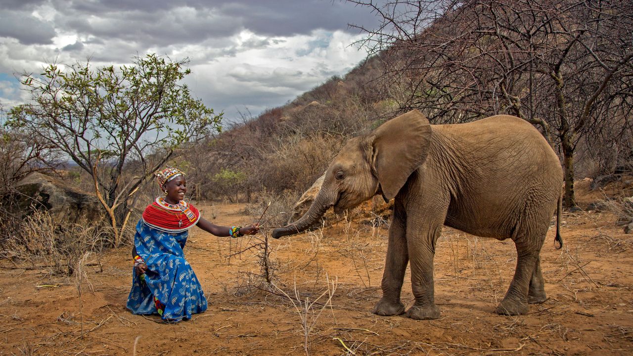 Prints for Wildlife returns with ‘Edition Hope’ to call attention on environmental protection