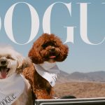 Sabrina Carpenter’s Dogs, Goodwin and Louie, Are a Man’s Best Friend