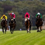 shergar cup