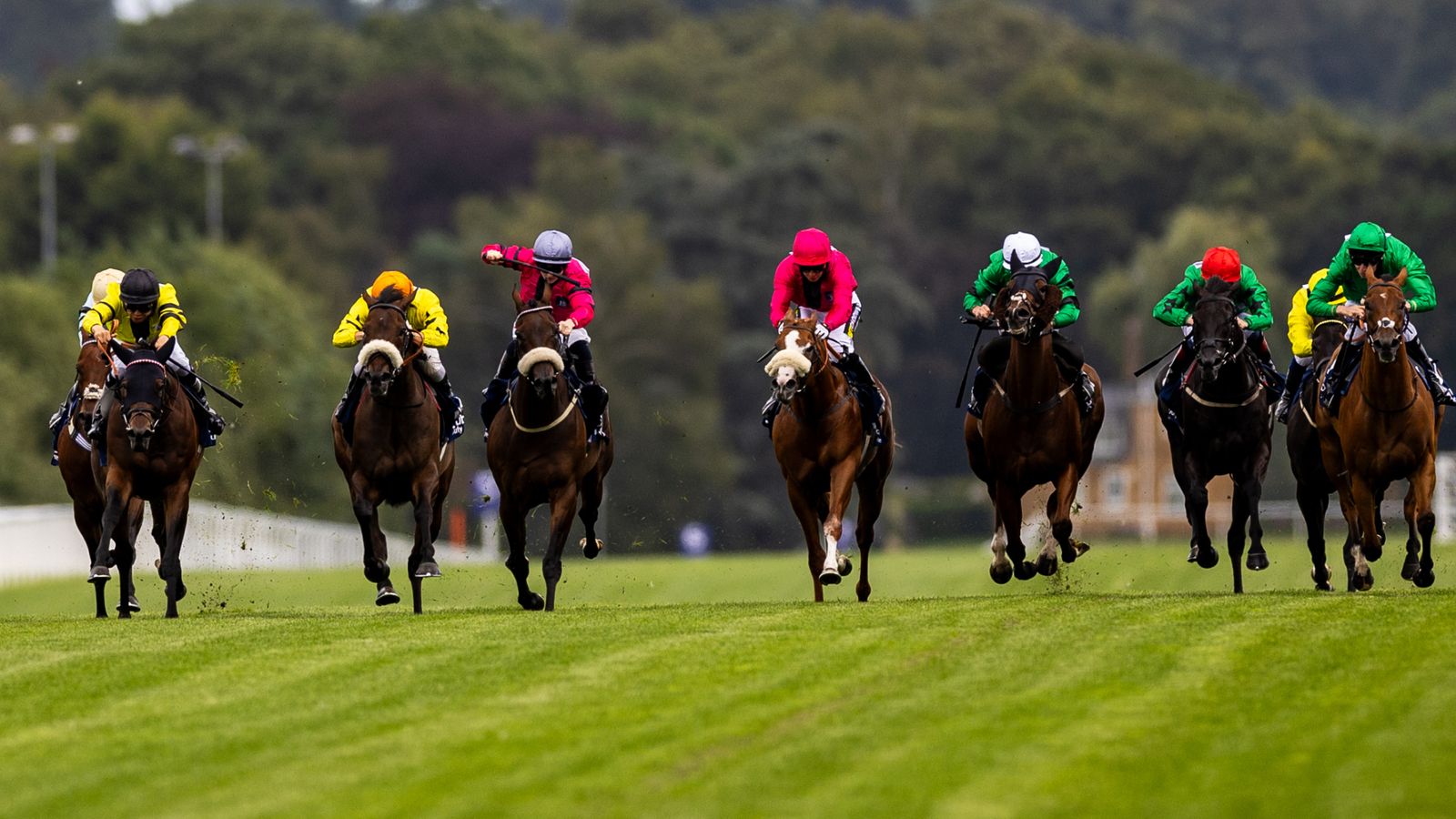 Shergar Cup best bets from the Weekend Winners team as Hollie Doyle, Robbie Dolan and Hugh Bowman feature | Racing News