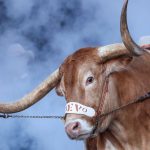 Texas, Ohio State, Penn State top preseason coaches' poll