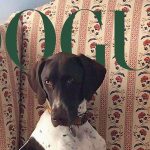 The 2025 Dogue Competition Winners Are Here!
