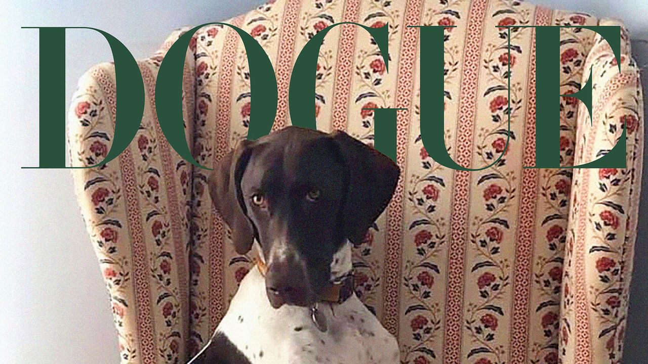 The 2025 Dogue Competition Winners Are Here!