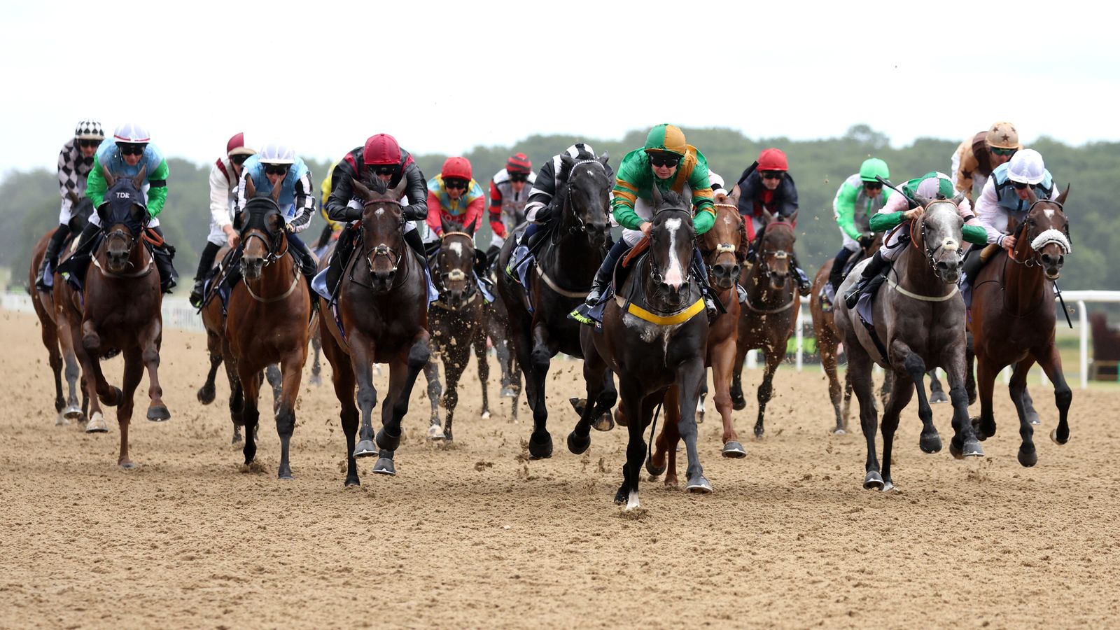 Today on Sky Sports Racing: Southwell, Newcastle and Bath feature | Racing News