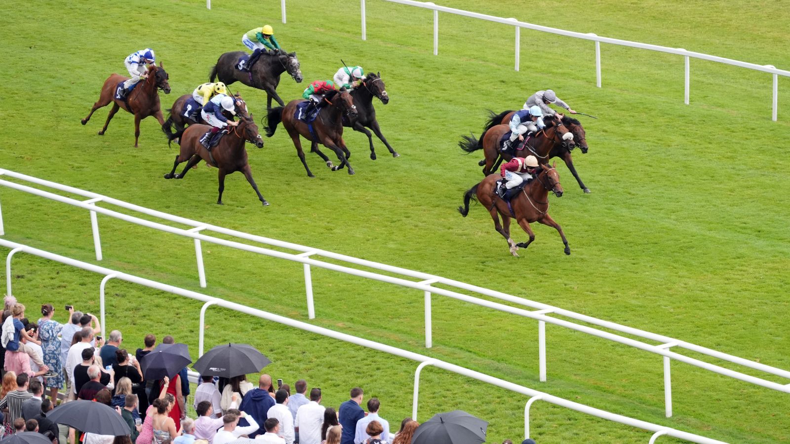 Weekend Winners: The team have their say on Saturday’s Hungerford Stakes at Newbury | Racing News
