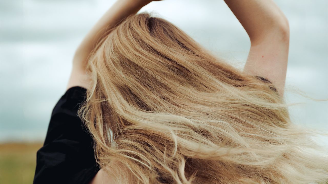 Your Haircare Routine Basics Starts With These Five Essentials