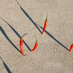 11 Delicious Vitamin A Foods to Boost Your Immune System