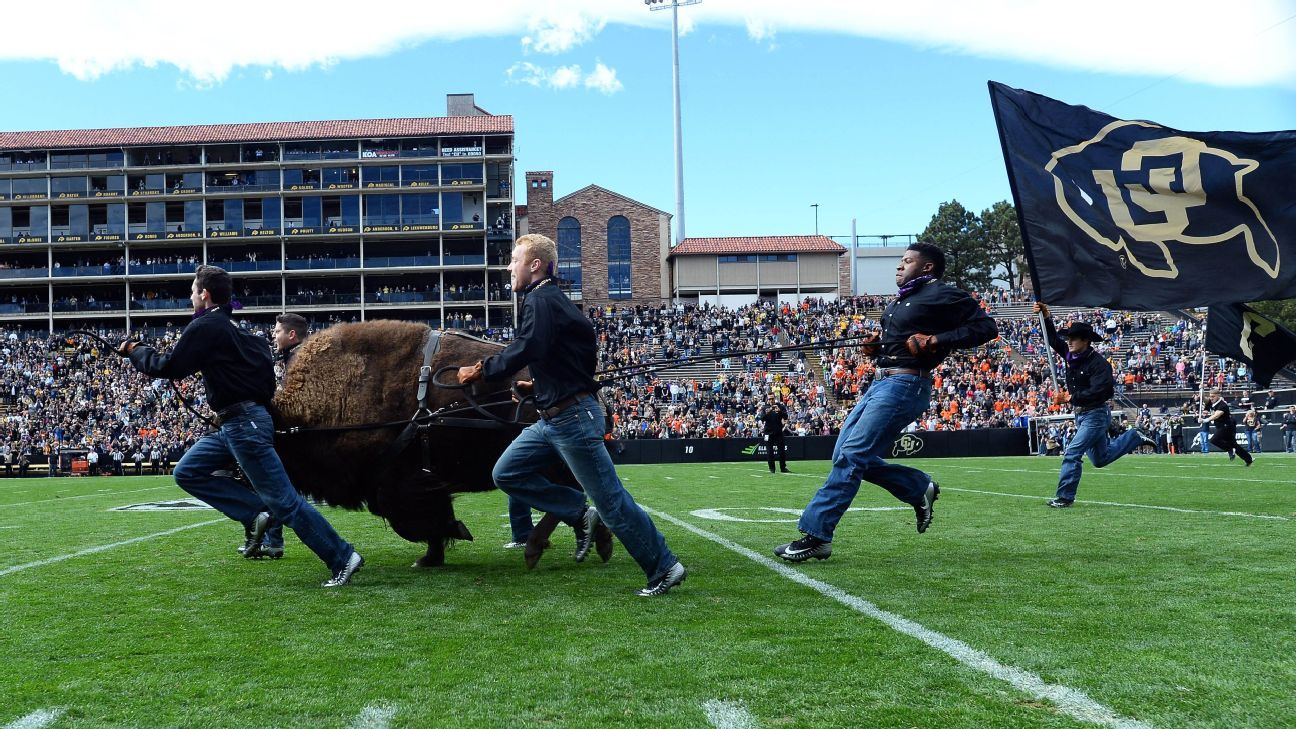 Colorado to debut new live buffalo mascot against Wyoming