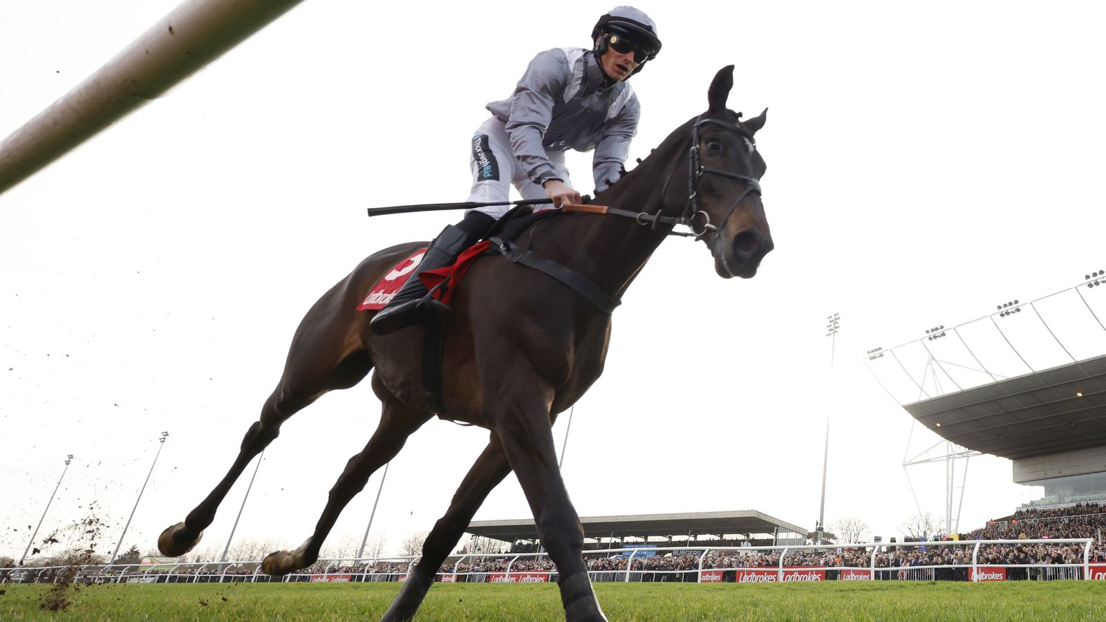 Il Est Francais: Tom George takes over handling of King George hopeful | Racing News