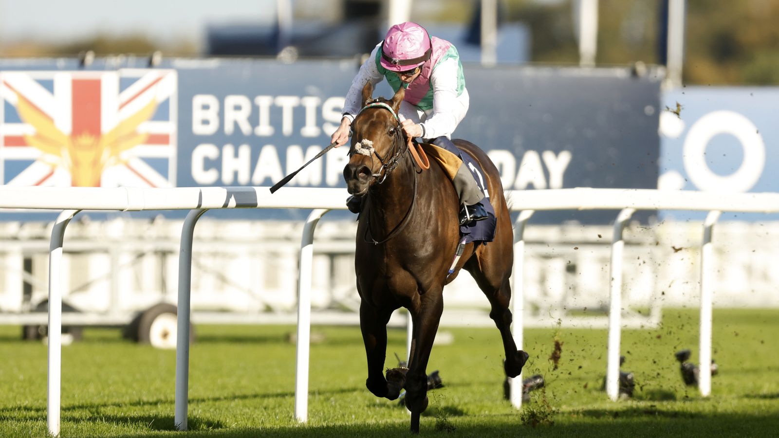 Kalpana: Andrew Balding’s filly not a certain Prix de l’Arc de Triomphe contender after Kempton defeat | Racing News