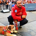 Lewis Hamilton with Roscoe at this year's British Grand Prix