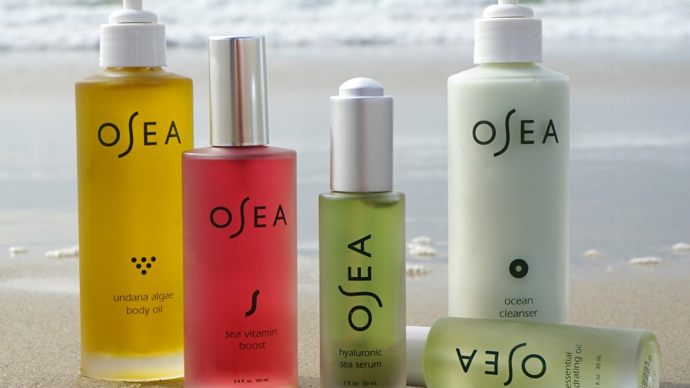 OSEA Partners With General Atlantic for Global Expansion