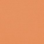 Pantone's Muskmelon 15-1242