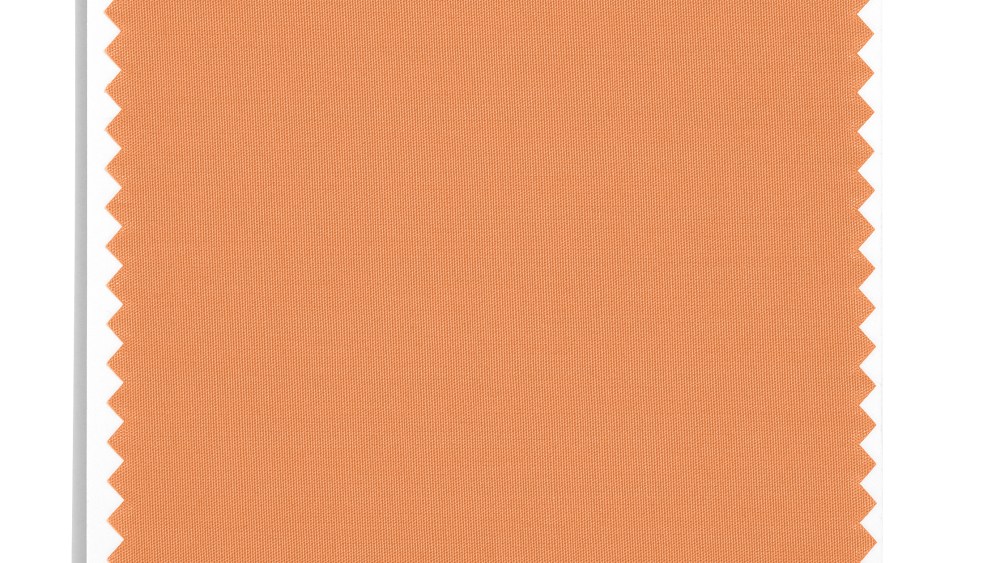 Pantone’s NYFW Fashion Color Trend Report 2025 Reveals Quirky Combos