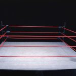Rampage Jackson's son, Raja, arrested on assault charge