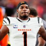 The Bengals' season is already over