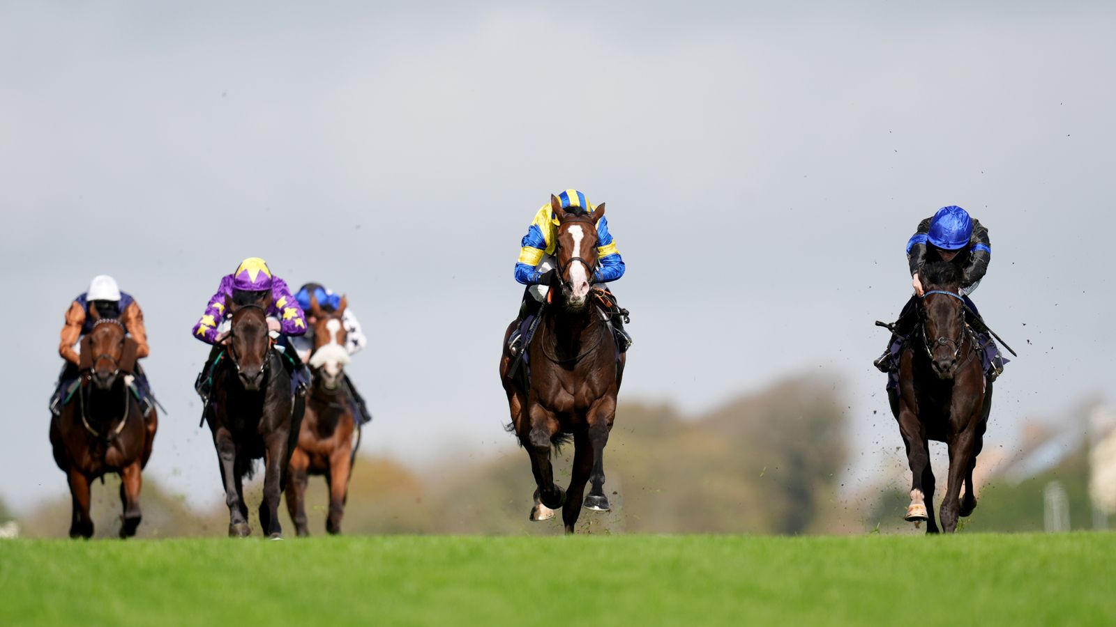 Today on Sky Sports Racing: Another Baar seeks hat-trick as Brighton hosts seven-race card | Racing News