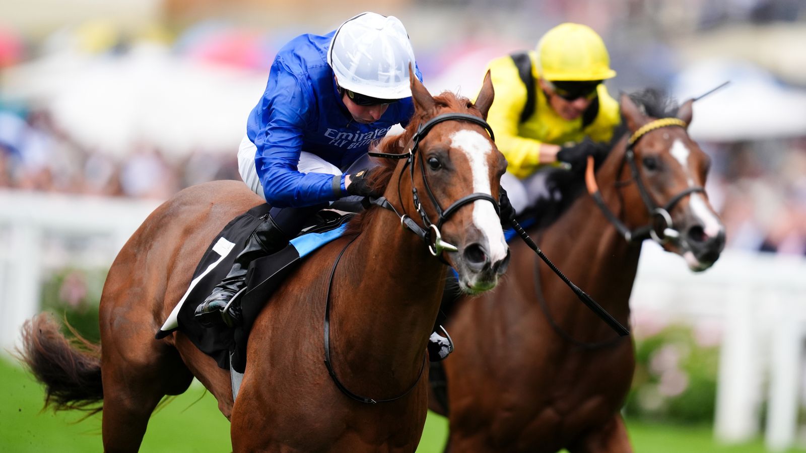 Today on Sky Sports Racing: Ascot and Wolverhampton | Racing News