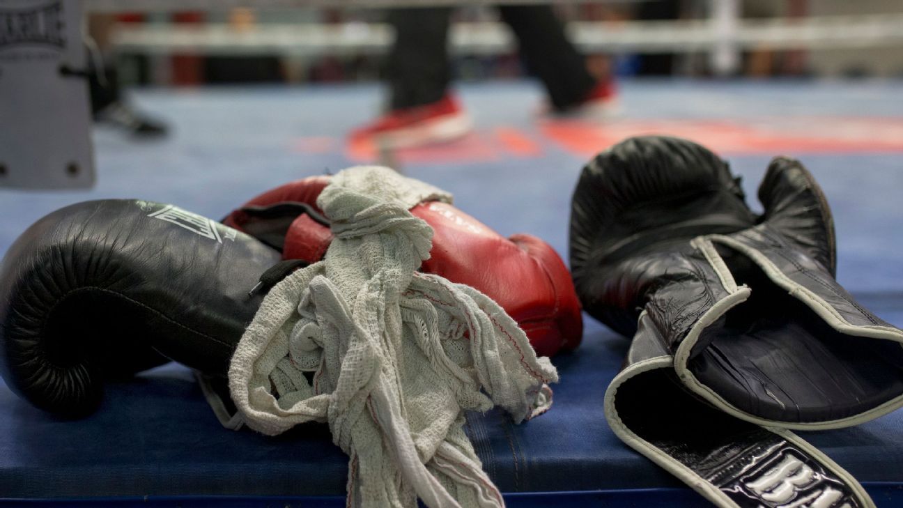 Arturo Gatti Jr., son of late boxing legend, dies at 17
