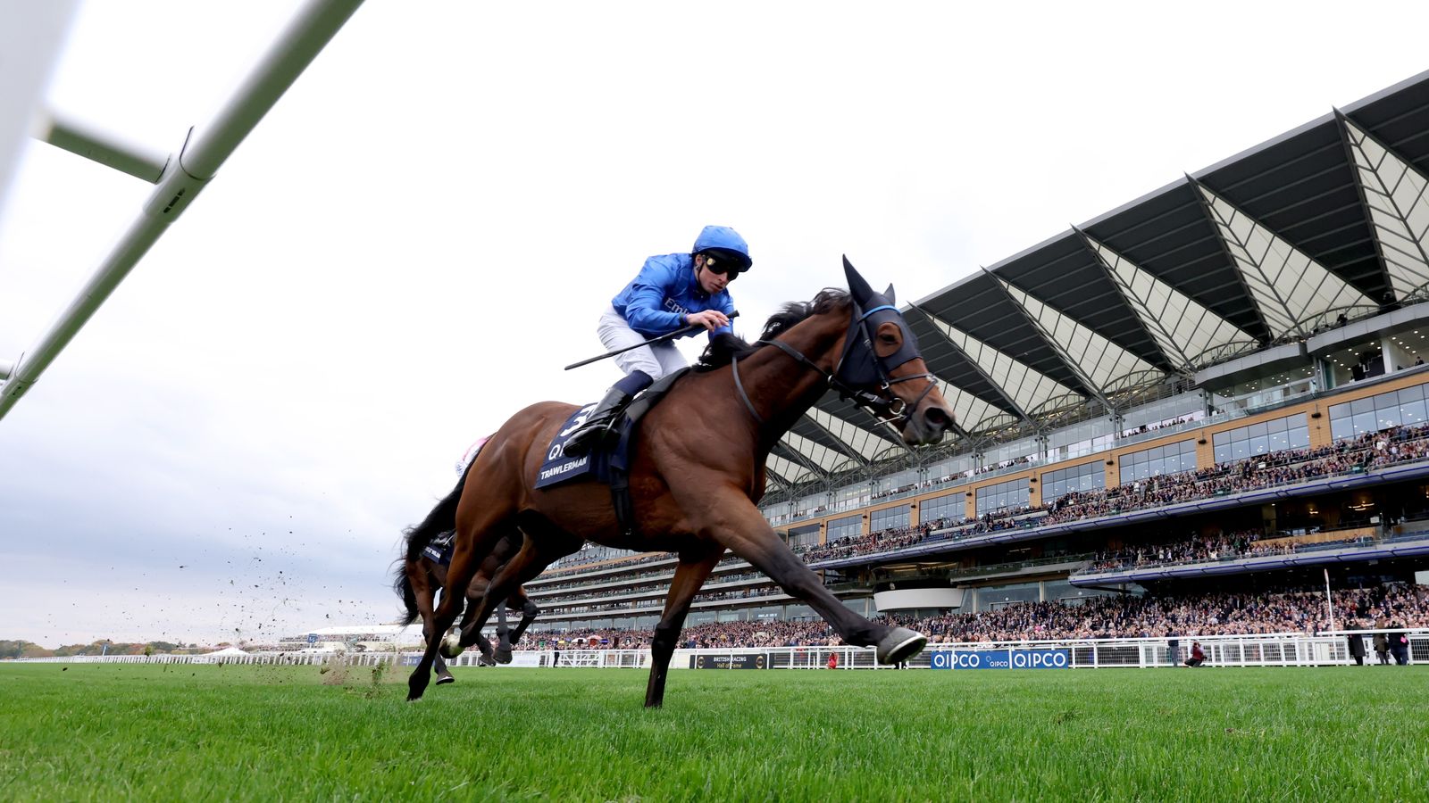 British Champions Day: Trawlerman scoops Long Distance Cup honours for Gosden team | Racing News