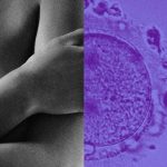 Content Creator Bridget Bahl Started IVF—and Came Away With a Cancer Diagnosis