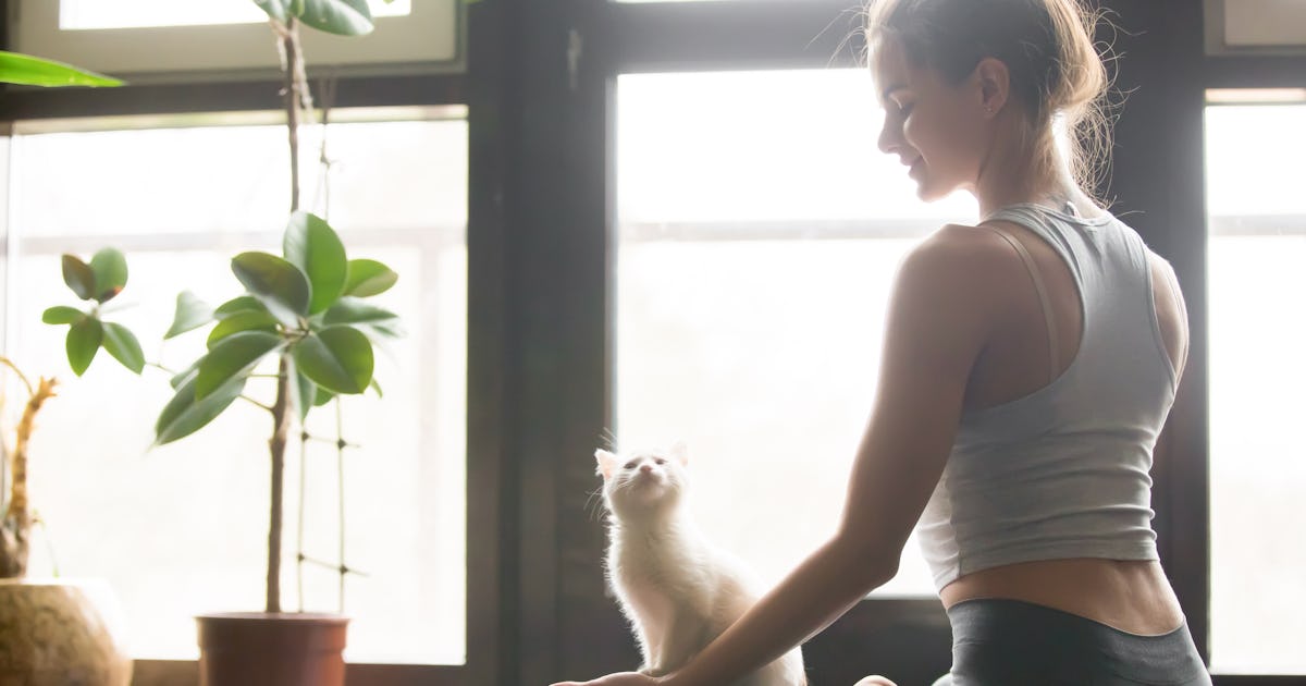 The Unexpected Connection Between Pampering Our Pets & Our Own Self-Worth