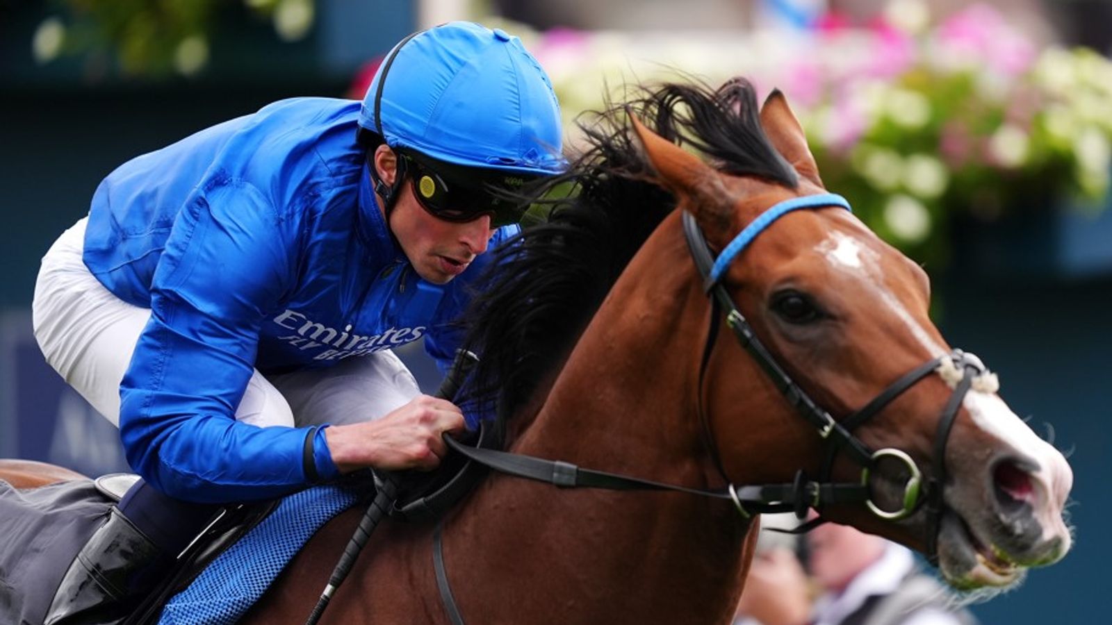 Today on Sky Sports Racing: Blockbuster Champion Stakes headlines stellar card from Ascot | Racing News