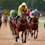 Racing at Southwell