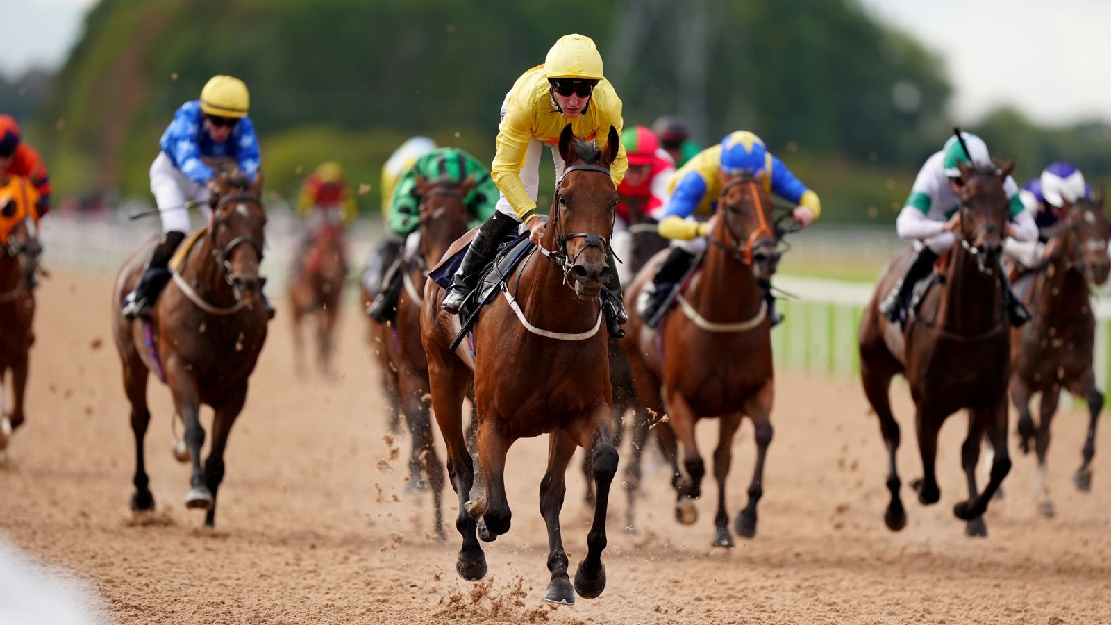 Today on Sky Sports Racing: Brighton and Southwell | Racing News