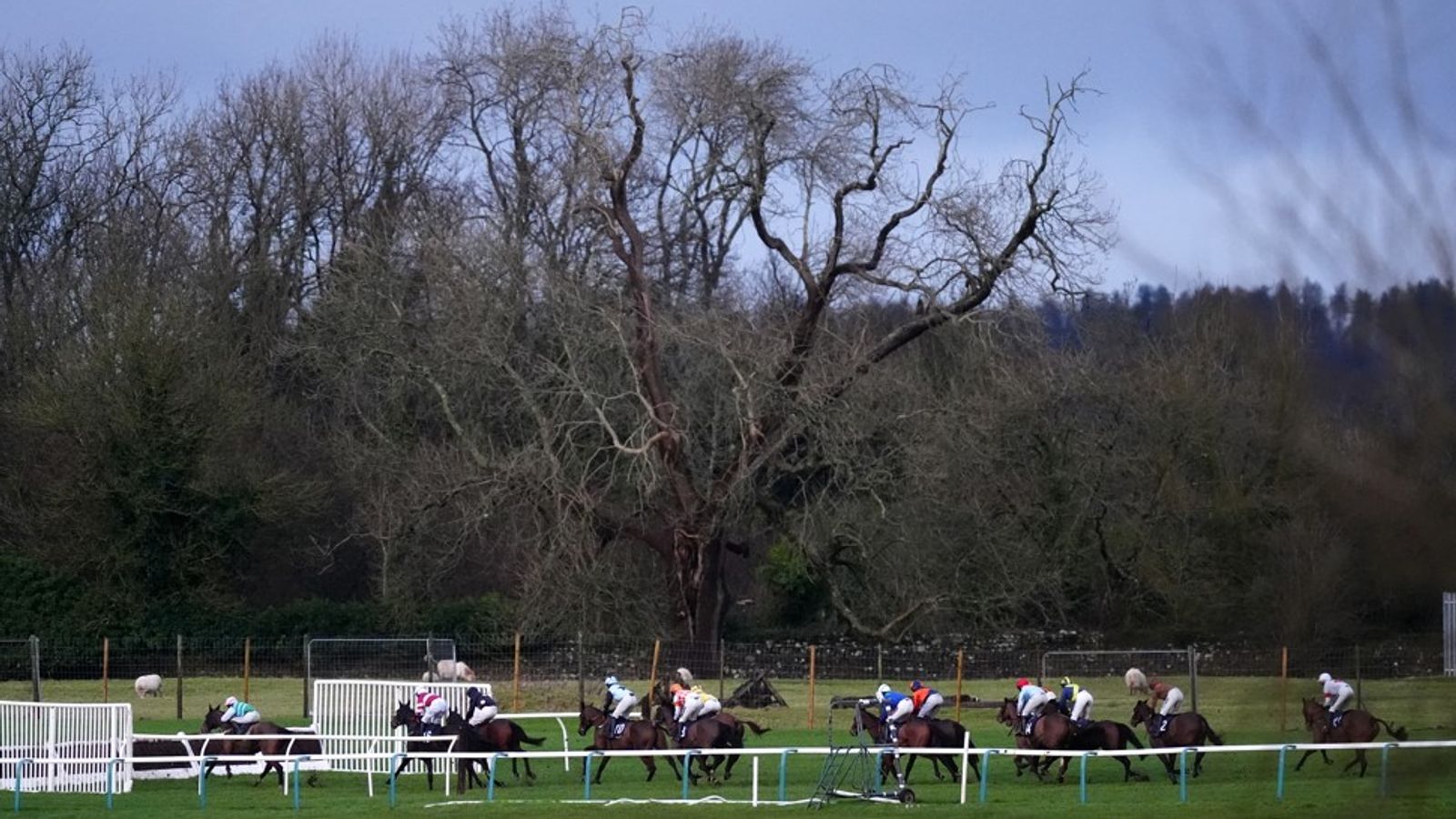 Today on Sky Sports Racing: Chepstow, Hexham and Wolverhampton | Racing News
