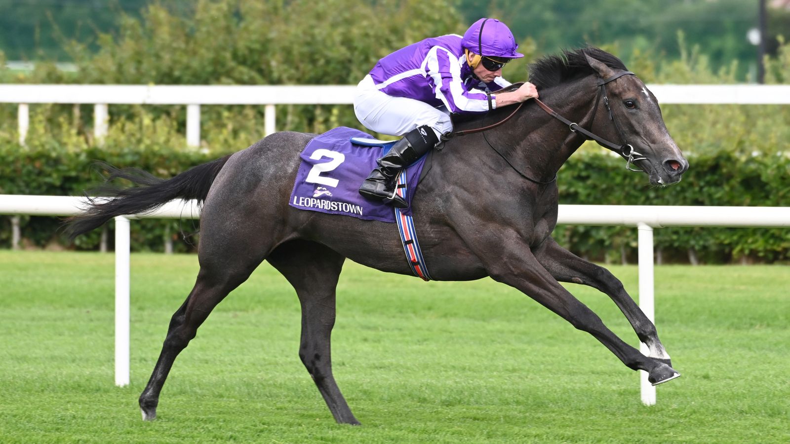 Today on Sky Sports Racing: Top level International action accompanies Ascot card | Racing News