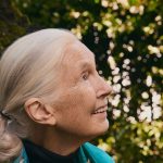 What Sustainable Fashion Can Learn From Dr. Jane Goodall