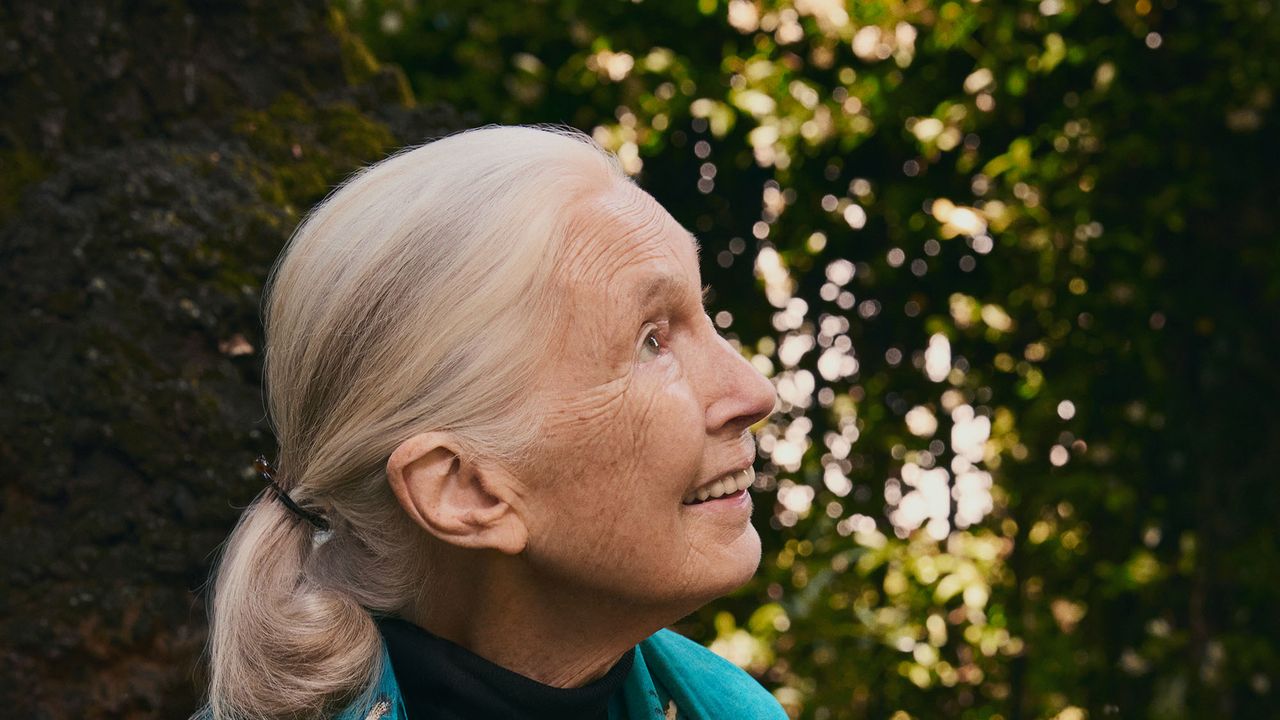 What Sustainable Fashion Can Learn From Dr. Jane Goodall